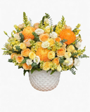  Ươm Nắng - HCB01 