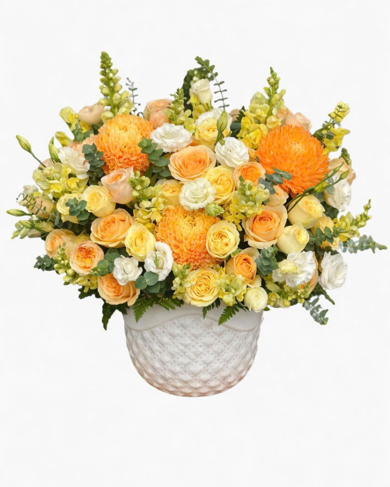  Ươm Nắng - HCB01 