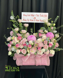  Thuyền Hoa Hồng - HCH122 