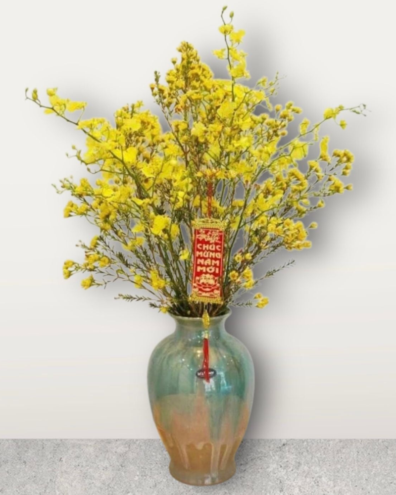  Bình Thanh Liễu Mix Lan Vũ Nữ - HCB59 - Hoa Trưng Tết 