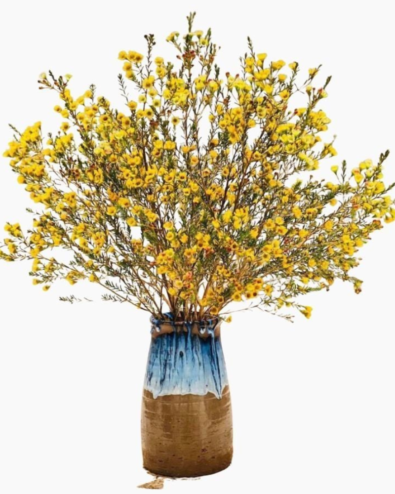  Tết Ấm Áp - HCB58 - Hoa Chưng Tết 