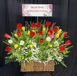  Hộp Hoa TULIP Sang Chảnh - HCH137 