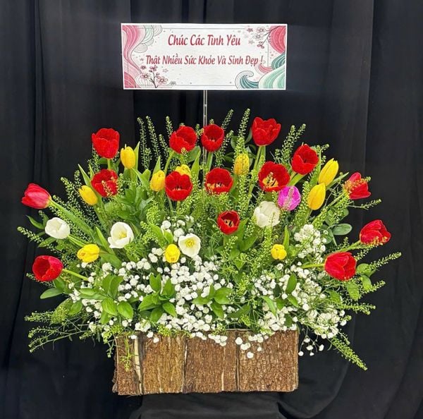 Hoa Tulip bộ sưu tập hoa tulip đẹp, sang trọng, tinh tế: Hộp Hoa TULIP Sang Chảnh - HCH137