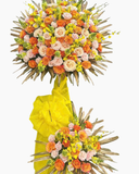  Hương Cam Ngọt Ngào  - HCM84 