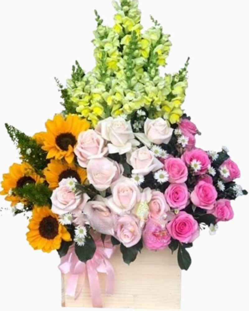  Màu Nắng - HCH66 - Ngày Của Mẹ 