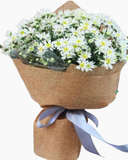  Đông Nội - HBT64 - Hoa Tặng Mẹ 