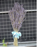  Bó Hoa Lavender Mộc Mạc - LVD04 - Điện Hoa 