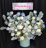  Hộp Hoa Ánh Dương- HH140 