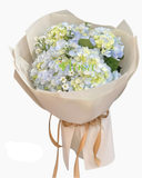  Bó Hoa Cẩm Tú Cầu- HBT101 