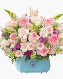  Hoa Hộp Xuân Sắc An Nhiên - HH203 