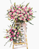  Kệ Hoa Hồng Diệu- HCM79 