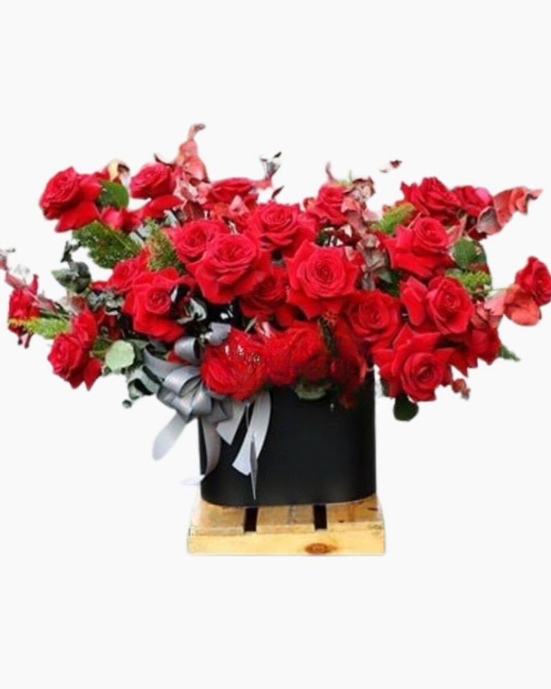  Sắc Đỏ - HH36 - Hoa 20/10 