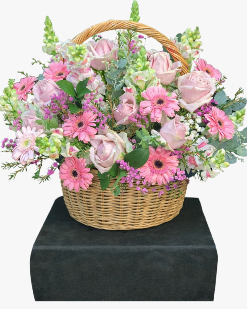  Cõi Mộng Mơ - HG07 