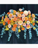  Ánh Dương Lấp Lánh - BPB17 