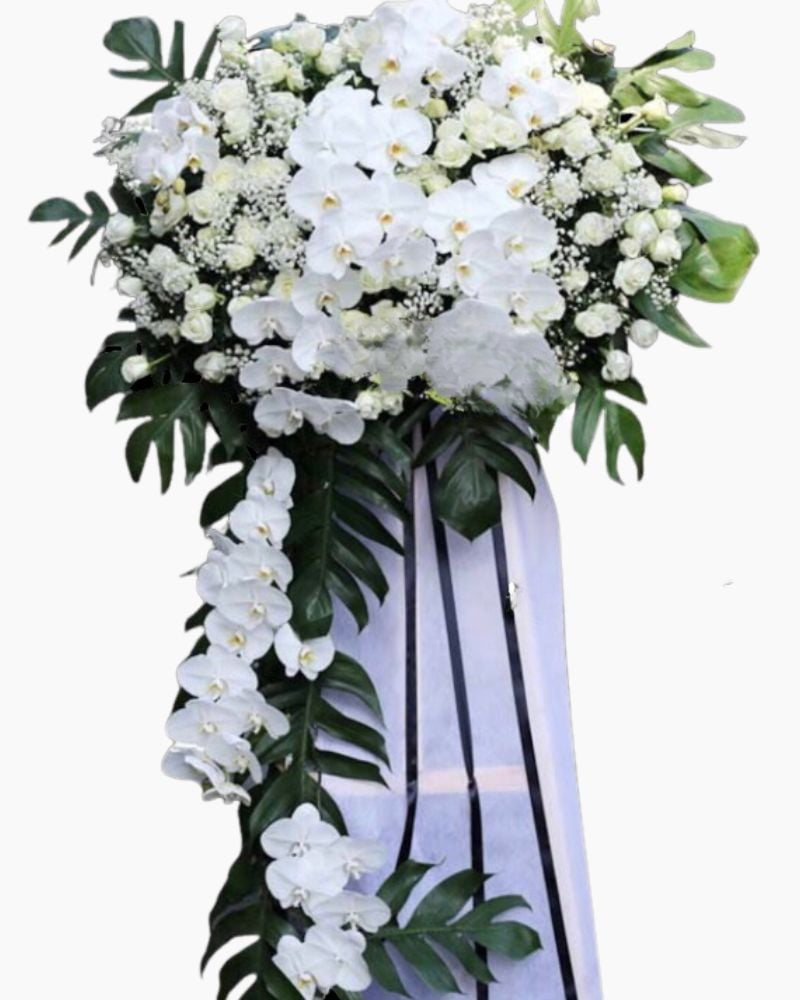  Tiếc Thương - HTL54 - Vòng hoa đám tang 