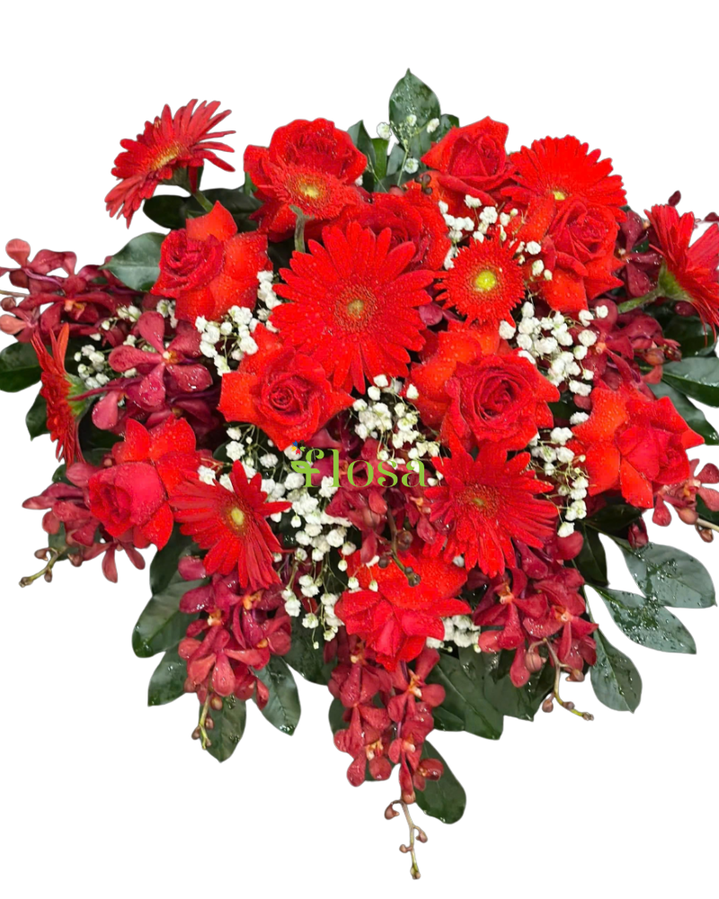  Sắc Đỏ Thăng Tiến  - BPB12 