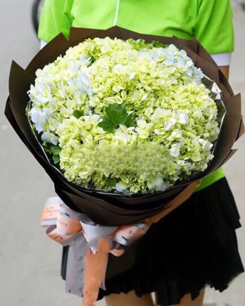  Bó Hoa Cẩm Tú Cầu - HBT51 - Hoa tặng mẹ 