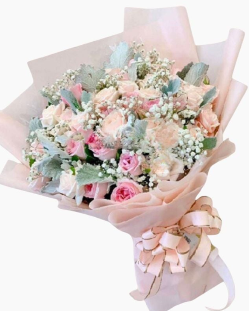  Niềm Vui Mới - HBD208 