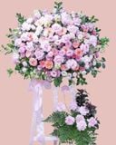  Kệ Hoa Danh Vọng - TH03 