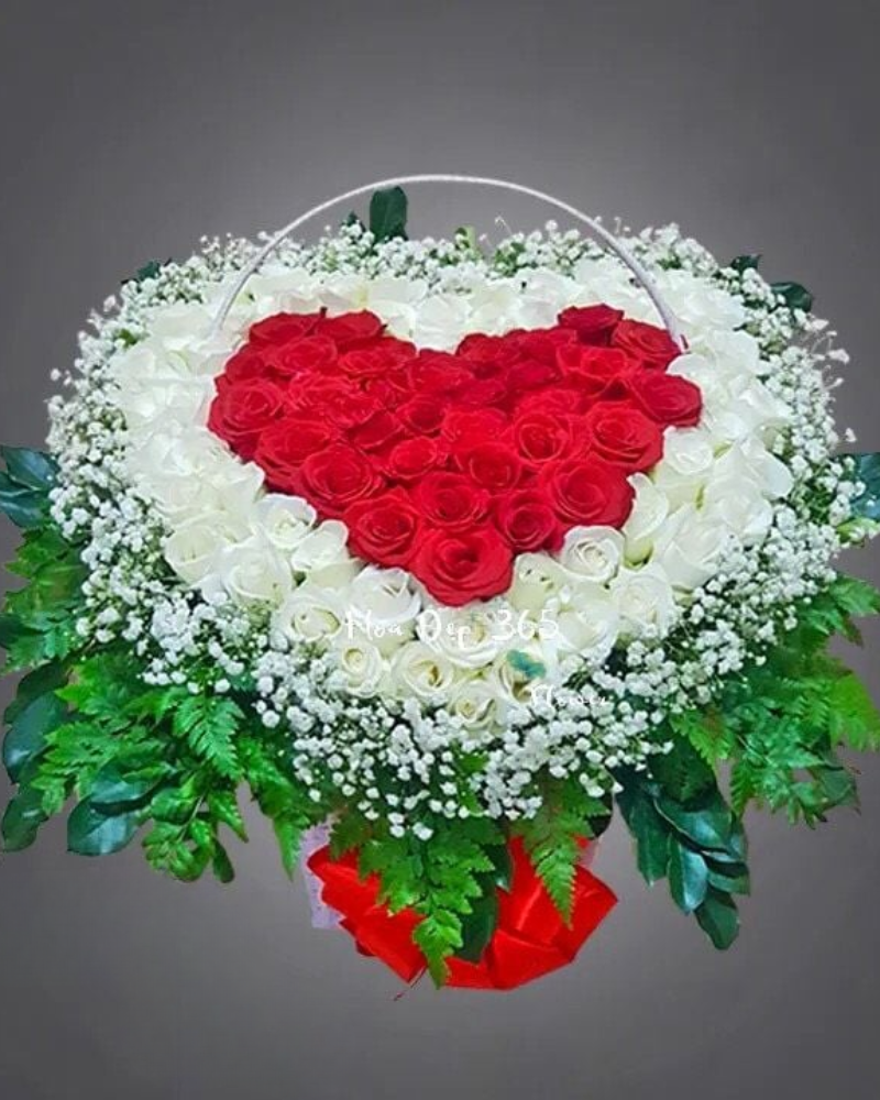  Trái Tim Bất Tận - HG55 