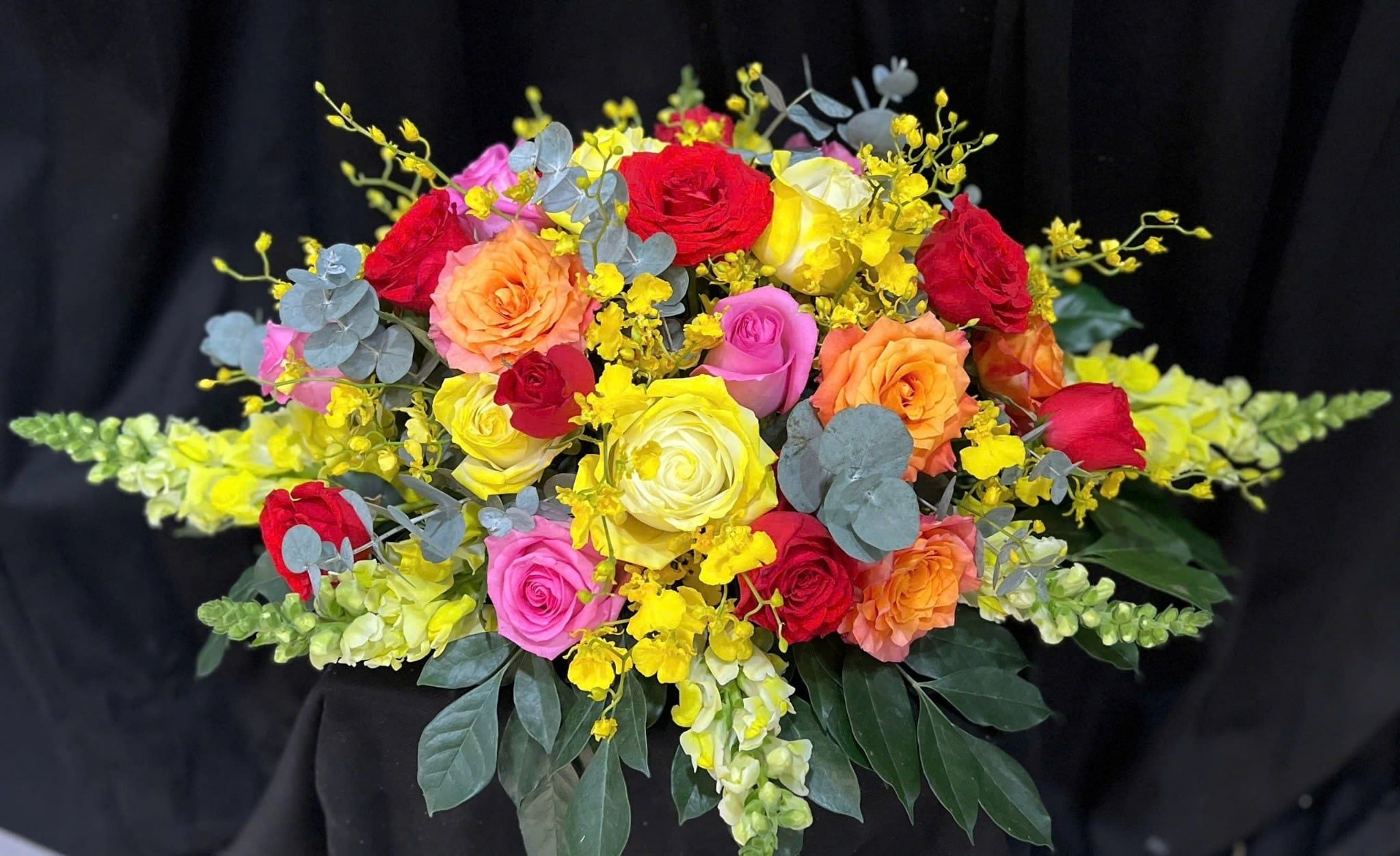  Phát Quang Rực Rỡ - BPB22 