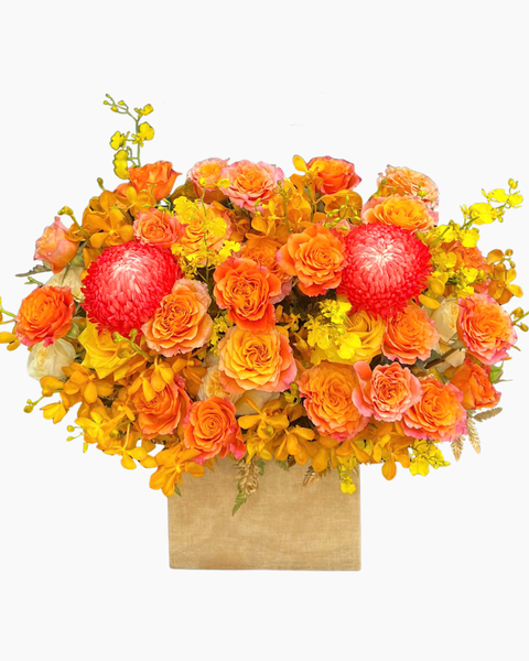 Mẫu Hộp Hoa Tươi Cao Cấp, Sang Trọng - Hoa Hồng Cắm Hộp Đẹp Nhất: Hộp Hoa Nồng Nàn - HH181