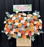  Hộp Hoa Ánh Cam - HH185 