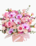  Sắc Hồng Yêu Thương - HCH89 