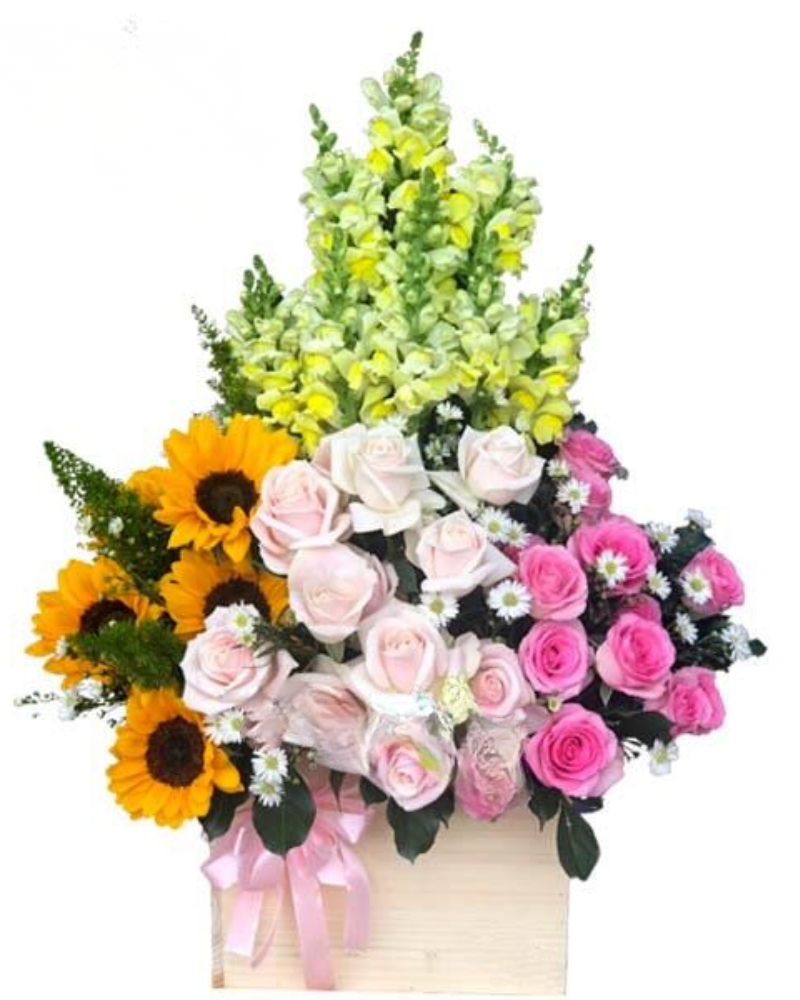  Màu Nắng - HCH66 - Ngày Của Mẹ 