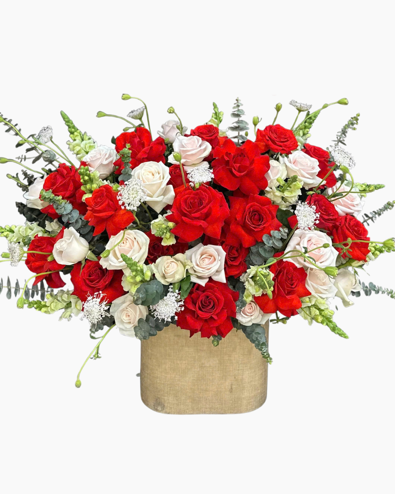  Hộp Hoa Đỏ Thuần - HH165 