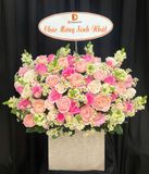  Hộp Hoa Julie - HH174 