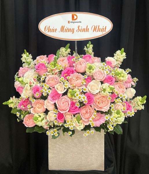 Mẫu Hộp Hoa Tươi Cao Cấp, Sang Trọng - Hoa Hồng Cắm Hộp Đẹp Nhất:  Hộp Hoa Julie - HH174 