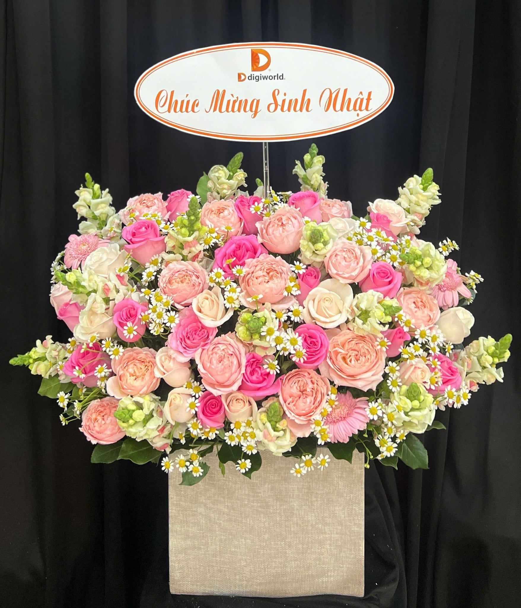  Hộp Hoa Julie - HH174 