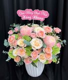  Hộp Hoa Nắng Hồng - HH147 