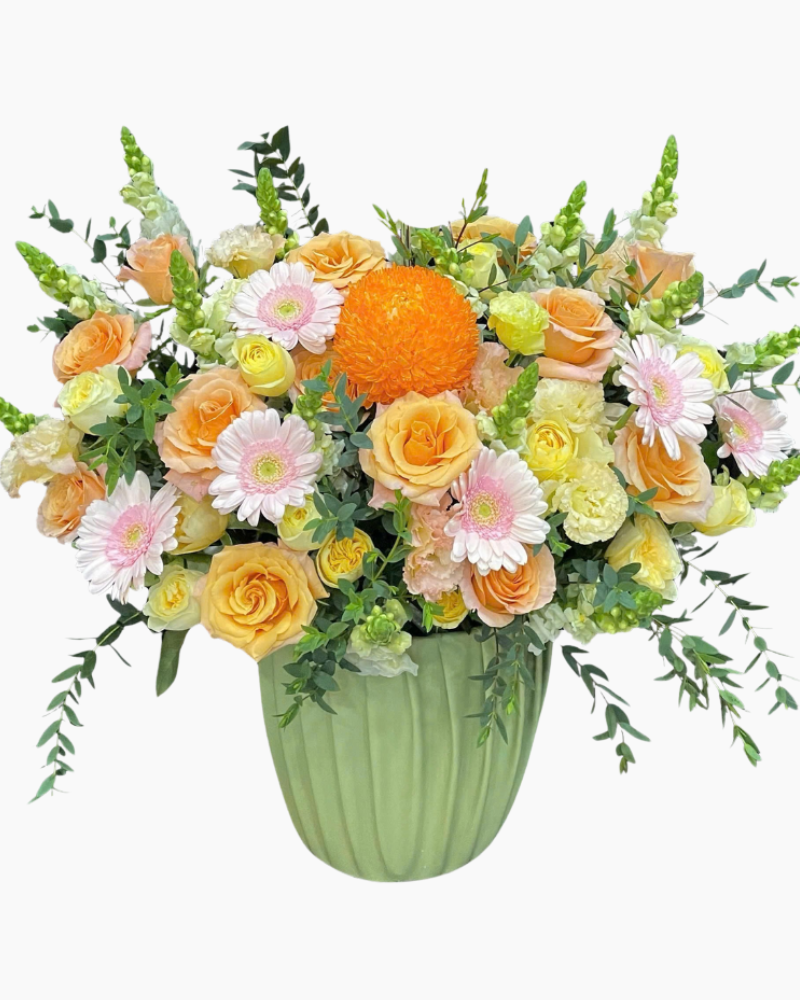  Hộp Hoa Cam Ấm  - HH120 