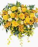  Ánh Sáng Phát Tài - BPB19 