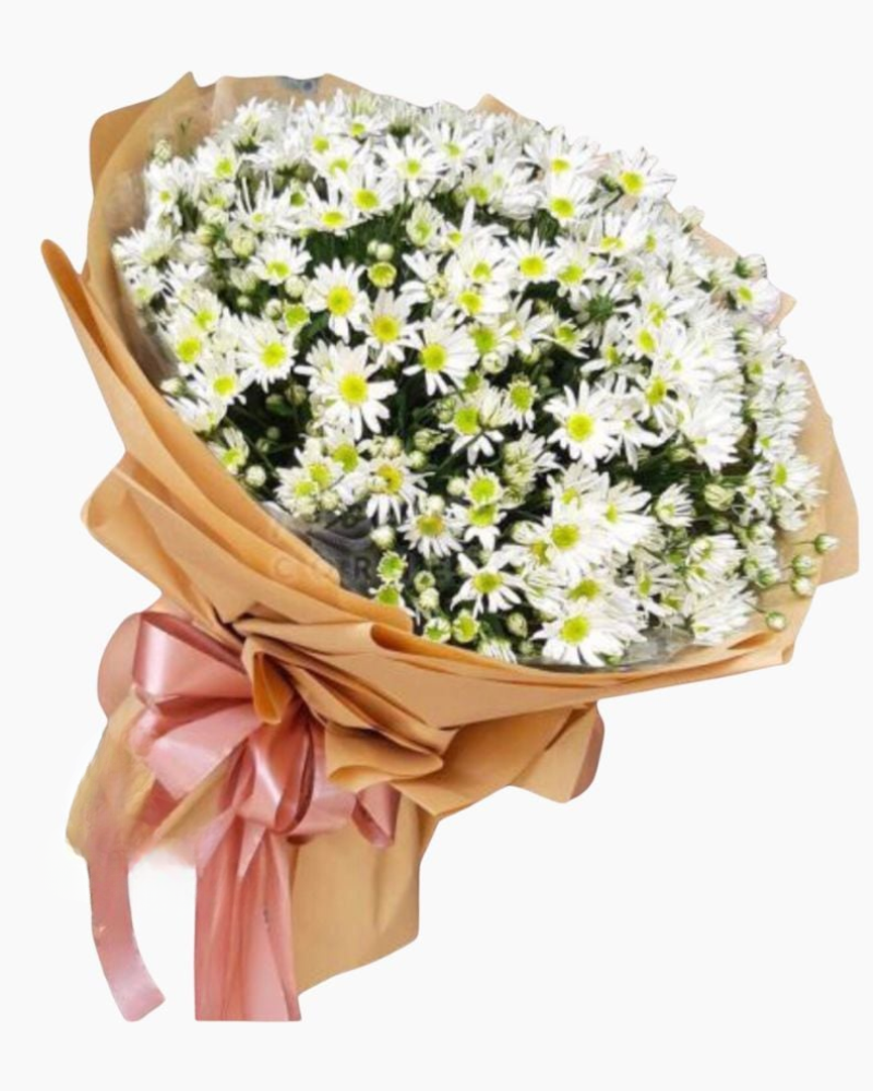  Bó Hoa Cúc Hoạ Mi Siêu To - HBT63 - Hoa Tươi 