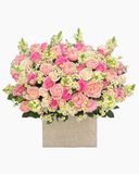  Hộp Hoa Julie - HH174 