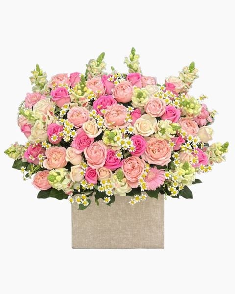 Mẫu Hộp Hoa Tươi Cao Cấp, Sang Trọng - Hoa Hồng Cắm Hộp Đẹp Nhất:  Hộp Hoa Julie - HH174 