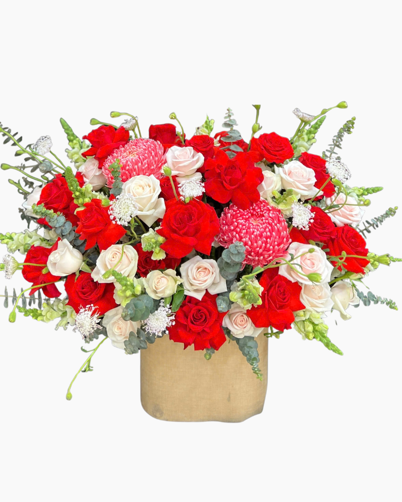  Hộp Hoa Đỏ Sang Qúy - HH166 