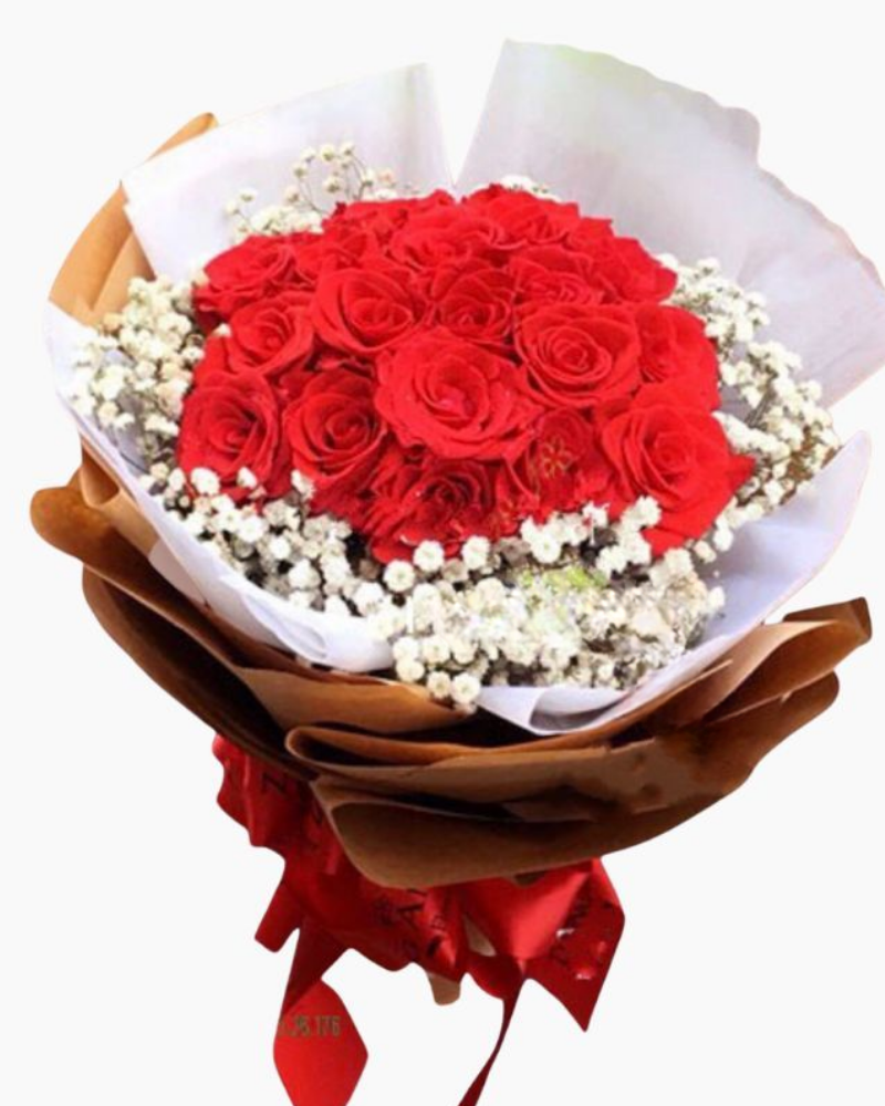  Me Before You - HBT21 - Hoa Hồng 20/10 