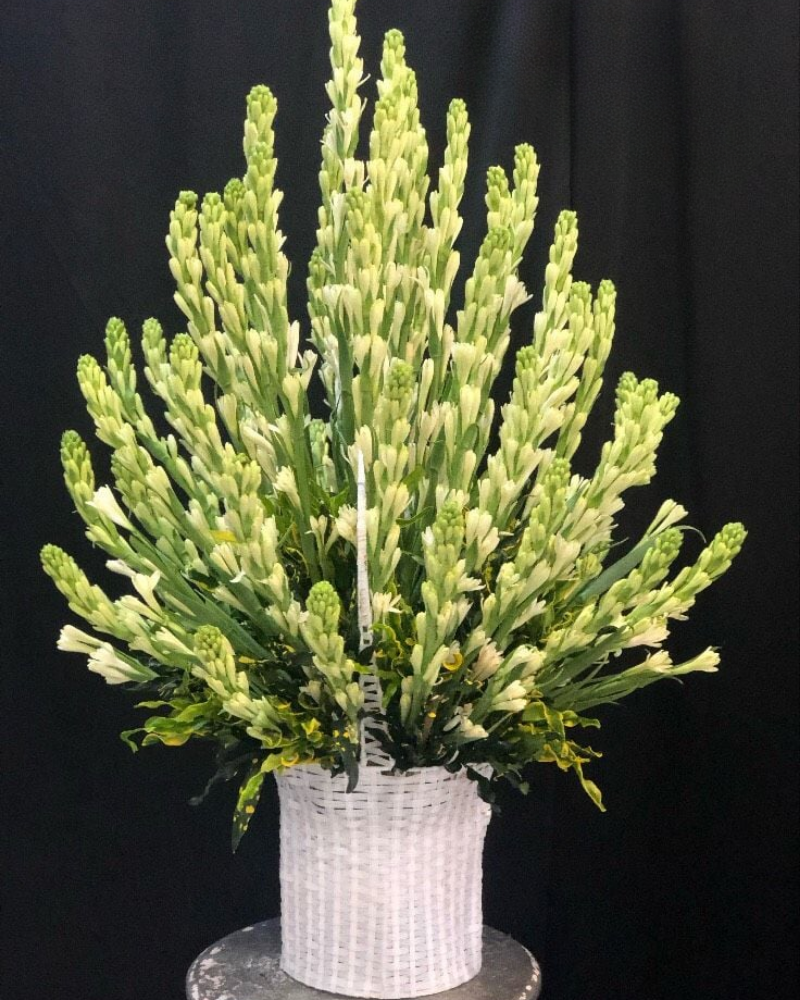  Giỏ Hoa Huệ Trắng - GHV13 - Giỏ Hoa Viếng 