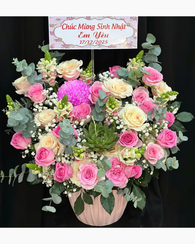  Tình Yêu Thương  - HH81 