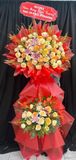  Kệ Hoa Đỏ Phát - HCM117 