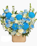  Hộp Hoa Ánh Dương- HH103 