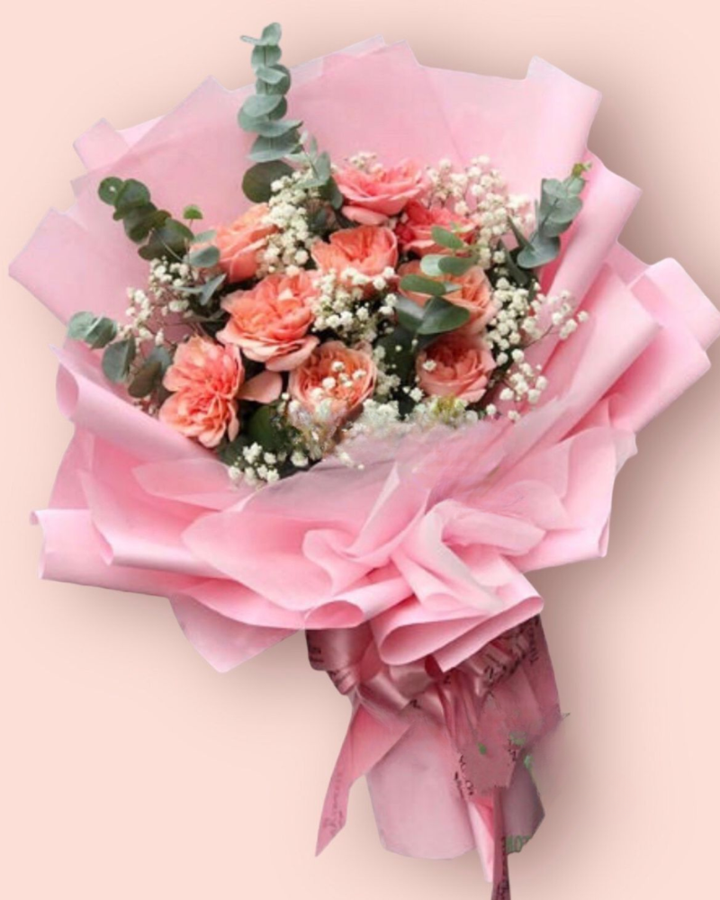  Nụ Hôn Đầu - HBD195 