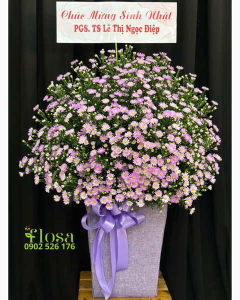 Hoa Tặng Mẹ 8/3 Đẹp, Ý Nghĩa Nhất Nhân Ngày Quốc Tế Phụ Nữ: Hộp Hoa Thạch Thảo - HH117