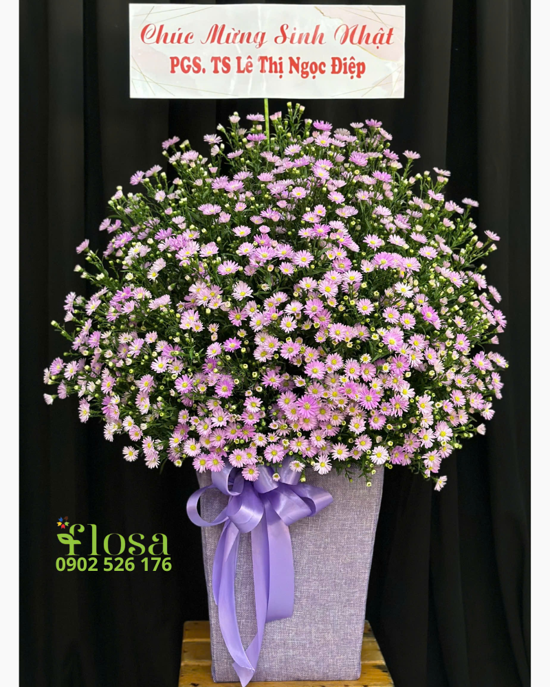  Hộp Hoa Thạch Thảo  - HH117 