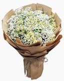  Bó Baby Mix Cúc Tana - Hoa tặng mẹ - HBT70 