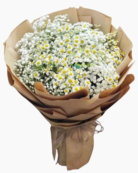 Mẫu Hoa Cúc: Bó Baby Mix Cúc Tana - Hoa tặng mẹ - HBT70